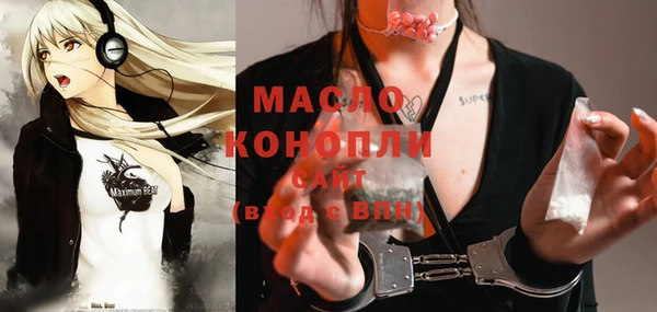 молекула духа Кулебаки