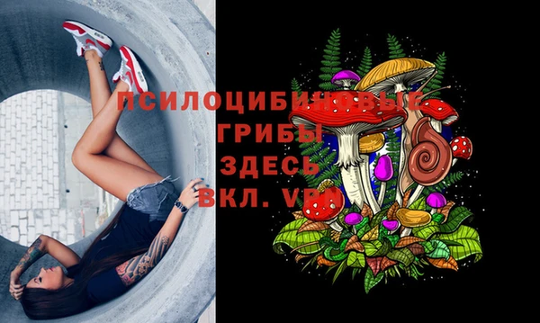 амф Осинники