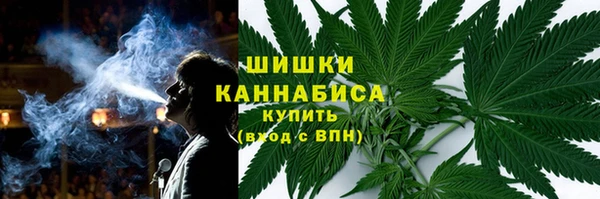 амф Осинники